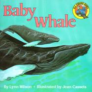 Baby Whale cover