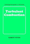 Turbulent Combustion cover