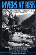 Rivers at Risk: The Concerned Citizen's Guide to Hydropower cover