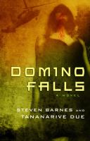 Domino Falls : A Novel cover