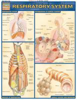 Respiratory System  Laminated Reference Guide cover