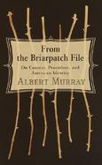 From the Briarpatch File: On Context, Procedure, and American Identity cover