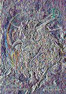 Vampire Hunter D Raiser of Gales (volume1) cover