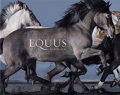 Equus cover
