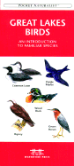 Great Lakes Birds cover