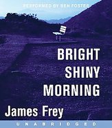 Bright Shiny Morning cover