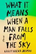 What It Means When a Man Falls from the Sky : Stories cover