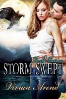 Storm Swept cover