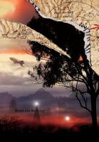 Where Are We Going? cover