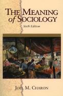 The Meaning of Sociology cover