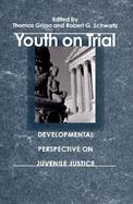 Youth on Trial A Developmental Perspective on Juvenile Justice cover
