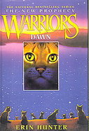 Dawn cover
