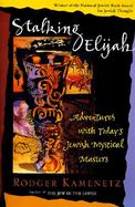 Stalking Elijah Adventures With Today's Jewish Mystical Masters cover