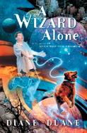 A Wizard Alone cover