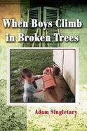 When Boys Climb in Broken Trees cover