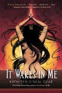 It Wakes in Me cover
