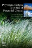 Phytoremediation Potential of Perennial Grasses cover