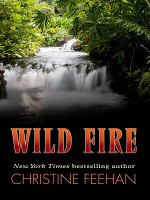 Wild Fire cover