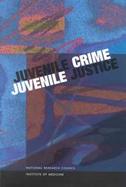 Juvenile Crime, Juvenile Justice cover