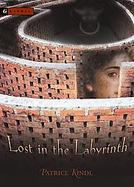 Lost In The Labyrinth cover
