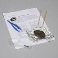 Owl Pellet Dissection Mini-Kit cover