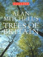 Alan Mitchell's Trees of Britain cover
