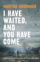 I Have Waited, and You Have Come cover