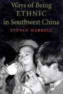 Ways of Being Ethnic in Southwest China cover