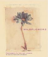 Wildflowers 20 Assorted Notecards & Envelopes cover
