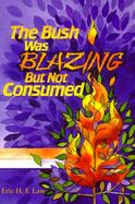 The Bush Was Blazing but Not Consumed Developing a Multicultural Community Through Dialogue and Liturgy cover