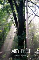 Fairy Thief : Book 2: the Fairy Circle Series cover