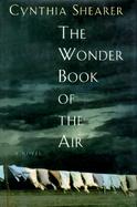 The Wonder Book of the Air cover