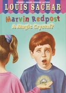 A Magic Crystal? (volume8) cover
