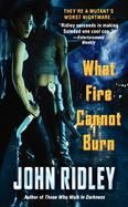 What Fire Cannot Burn cover