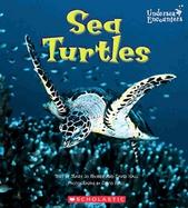 Sea Turtles cover