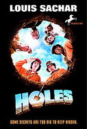 Holes cover
