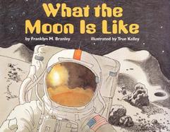 What the Moon is Like cover