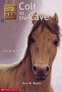 Colt in the Cave cover