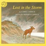Lost in the Storm cover