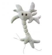 GiantMicrobes-Brain Cell cover