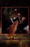 The Oz Suite (Paperback) cover