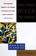 One More River to Cross Black and Gay in America cover