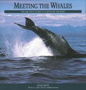 Meeting the Whales The Equinox Guide to Giants of the Deep cover
