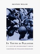 In Youth Is Pleasure cover
