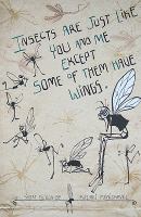 Insects Are Just Like You and Me Except Some of Them Have Wings cover