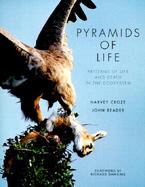 Pyramids of Life: Patterns of Life and Death in the Ecosystem cover