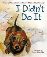 I Didn't Do It cover