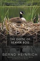 The Geese of Beaver Bog cover