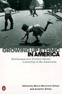 Growing Up Ethnic in America Contemporary Fiction About Learning to Be American cover