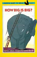 How Big Is Big cover